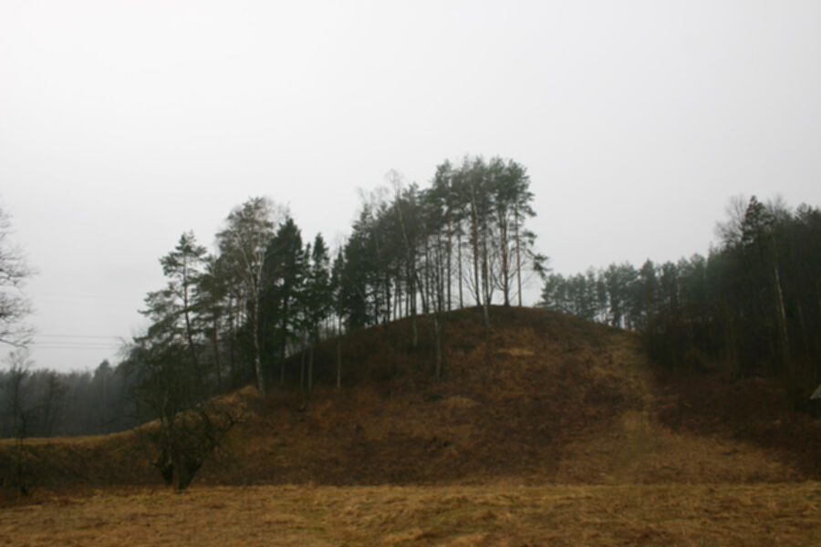 Iliustracija