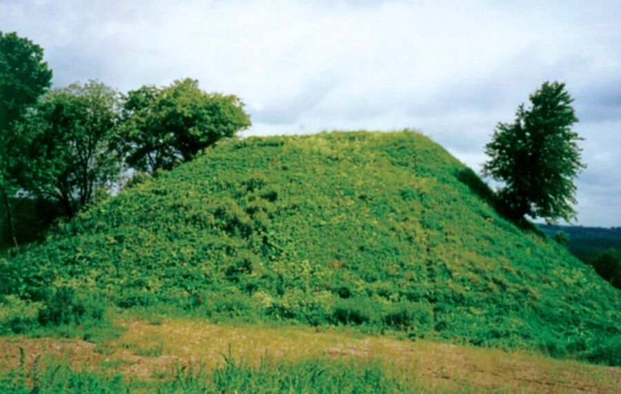 Iliustracija