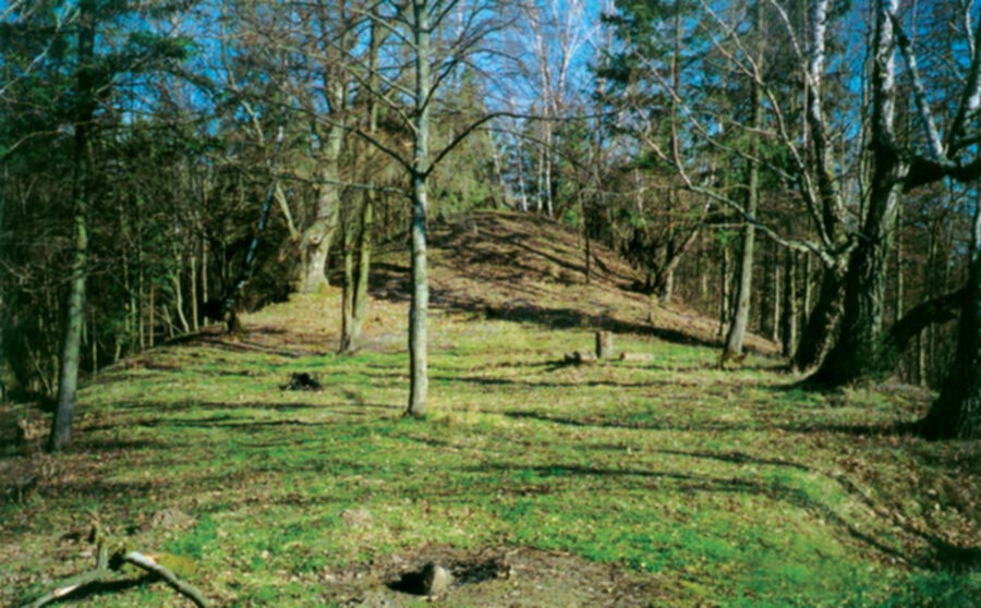 Nuotrauka