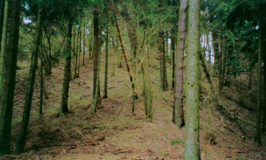 Nuotrauka