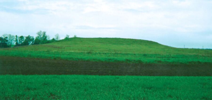Iliustracija