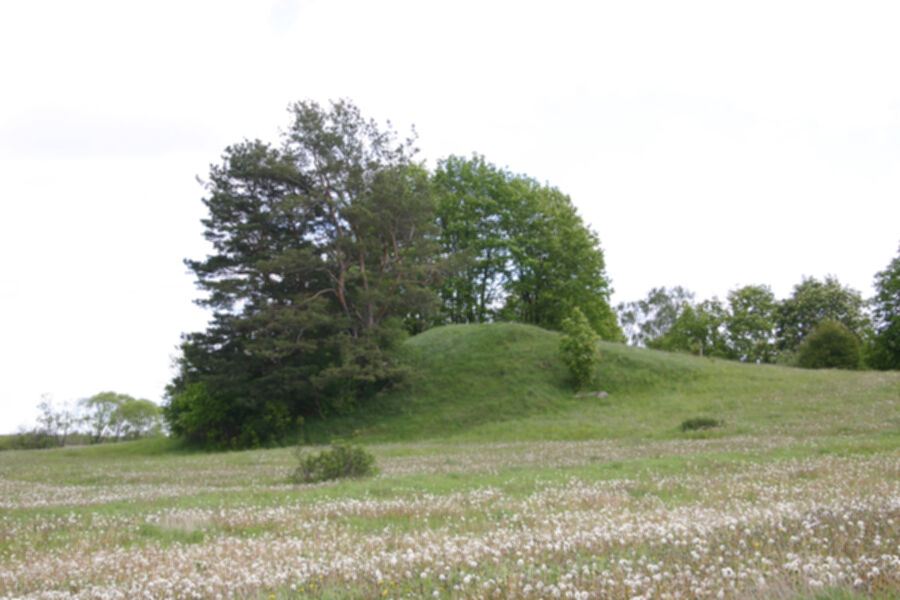 Iliustracija