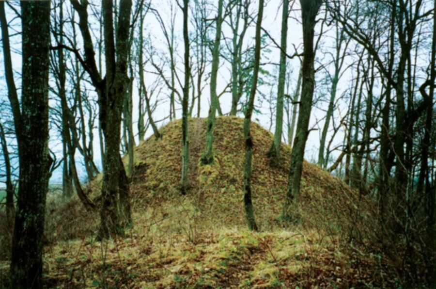 Iliustracija