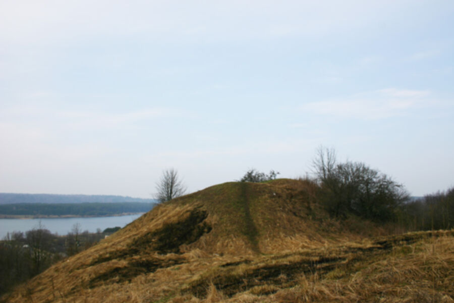 Iliustracija