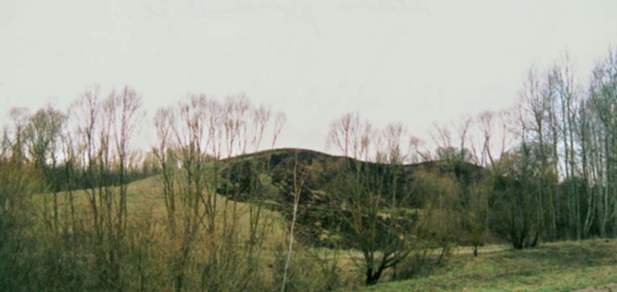 Iliustracija