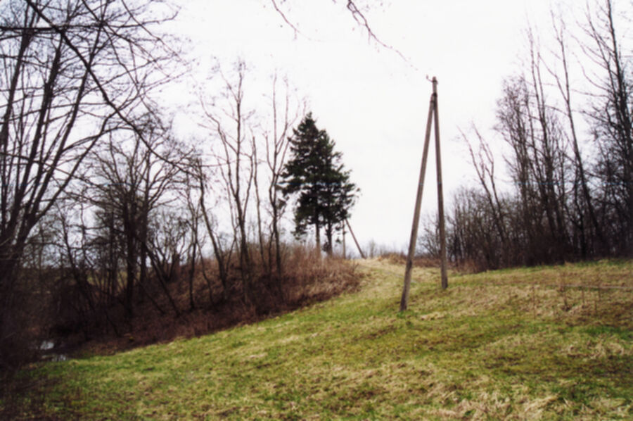 Iliustracija