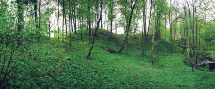 Iliustracija