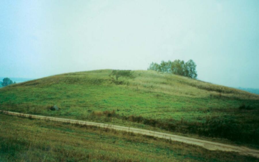Iliustracija