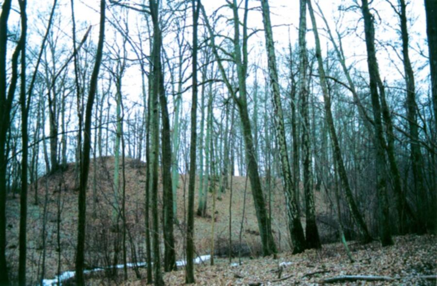Iliustracija