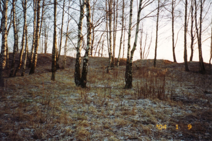Iliustracija