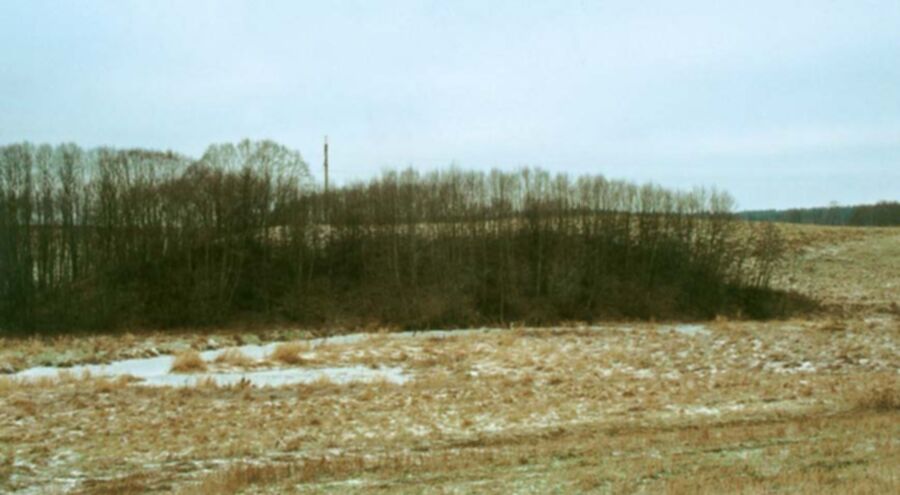 Iliustracija