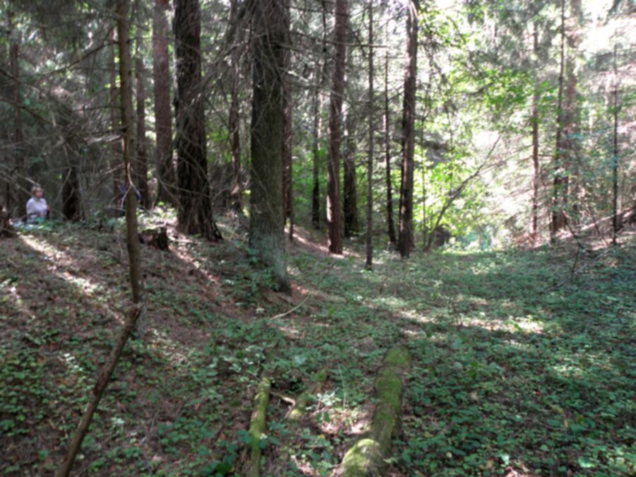 Iliustracija