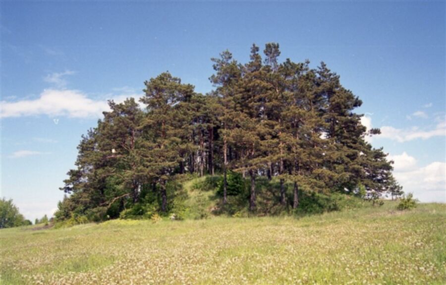 Iliustracija