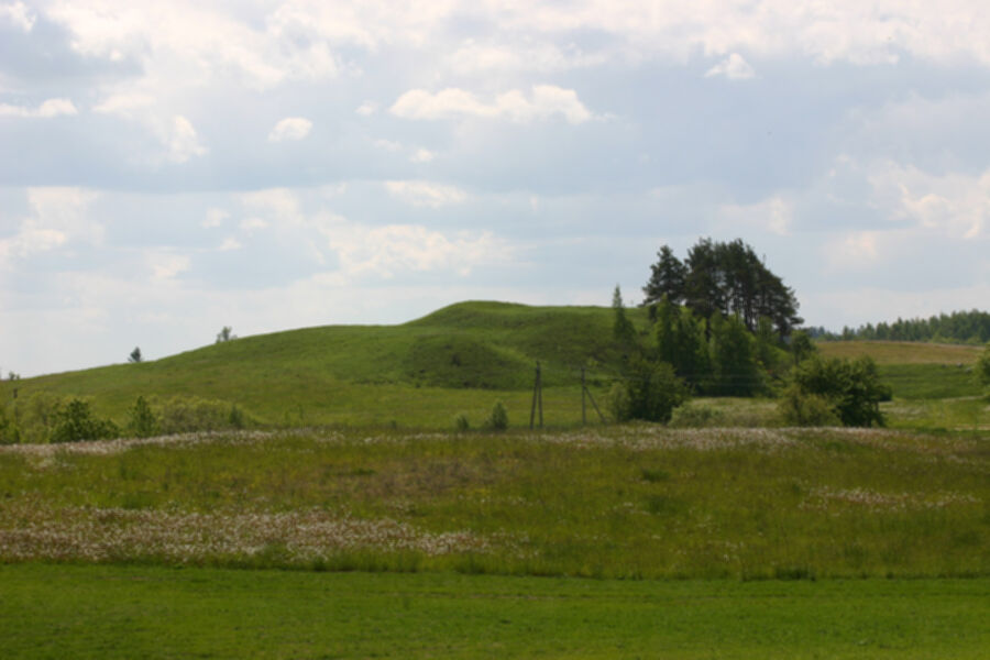 Iliustracija