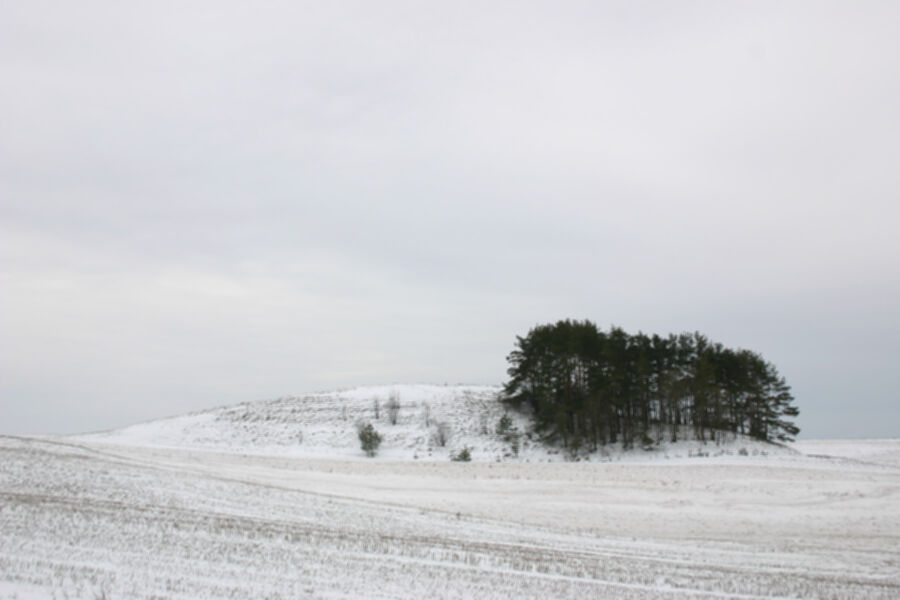 Iliustracija