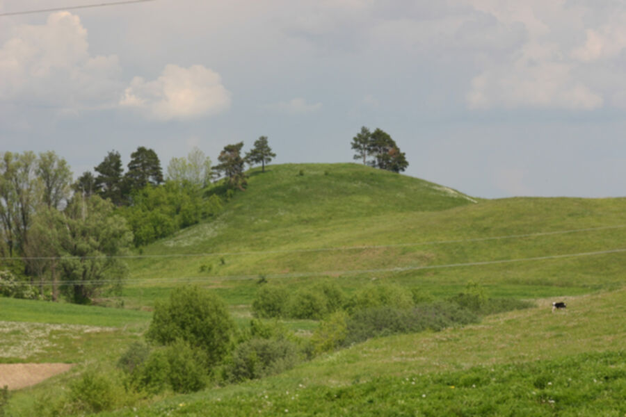 Iliustracija