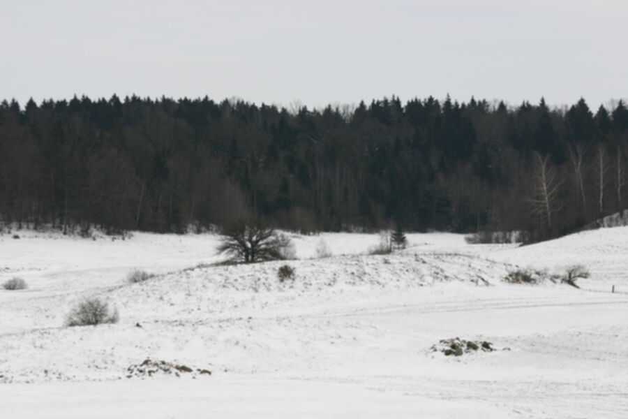 Iliustracija
