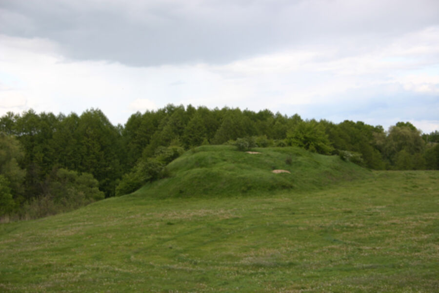 Iliustracija