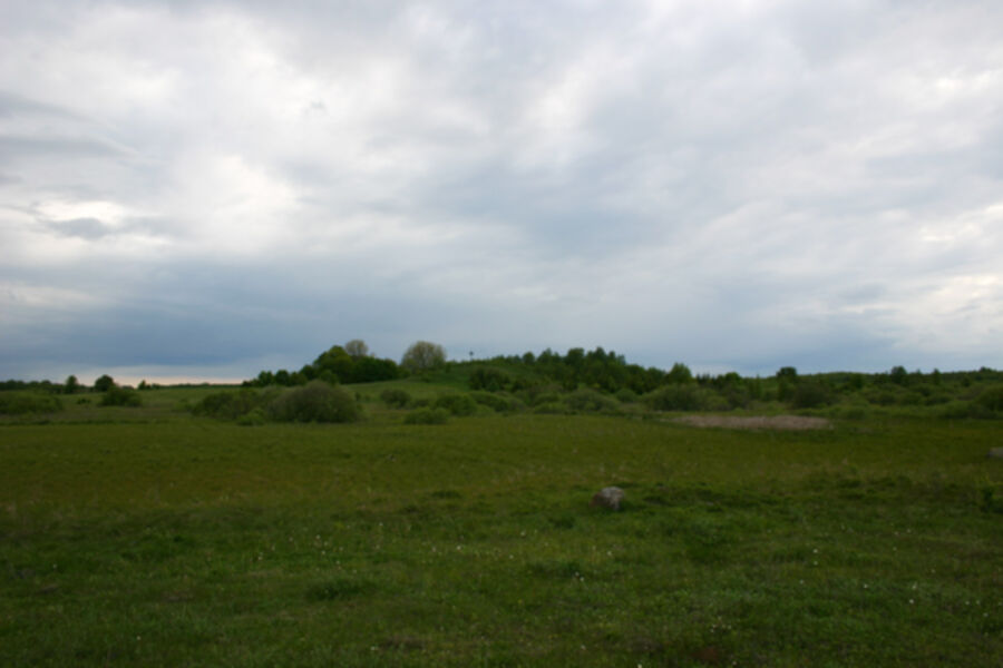 Nuotrauka