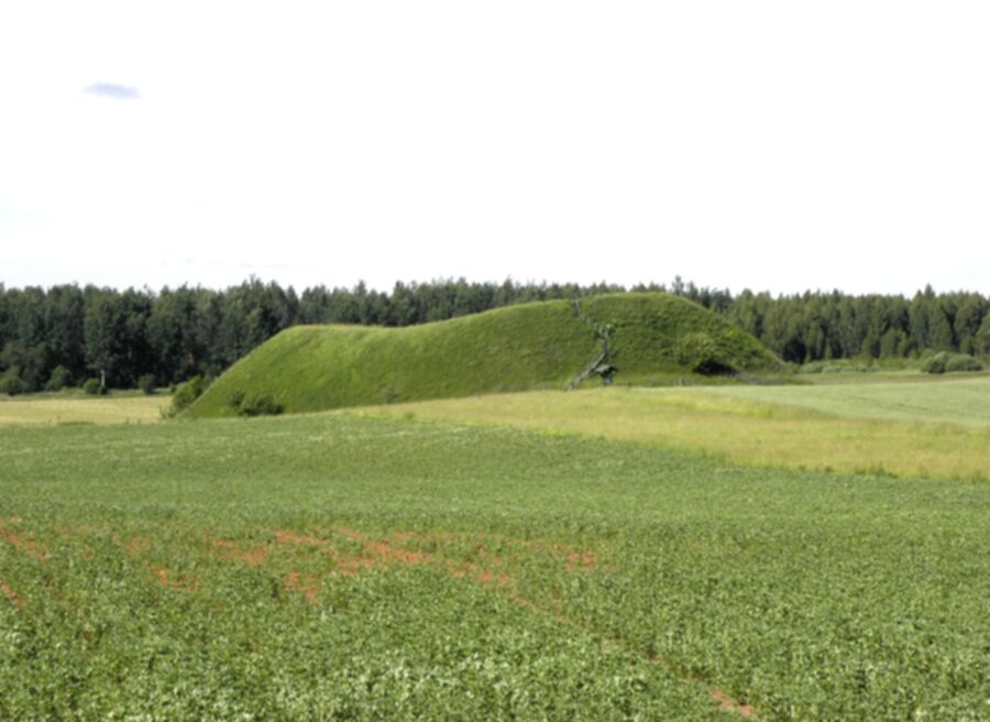 Nuotrauka