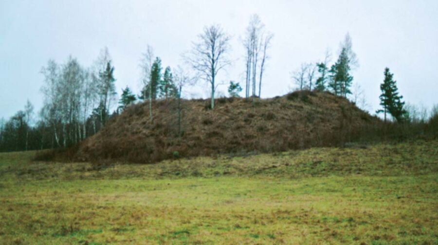 Iliustracija