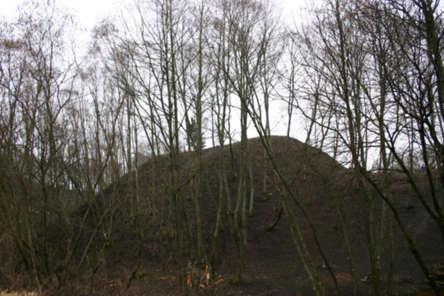 Iliustracija