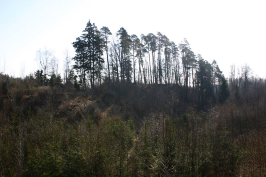 Iliustracija