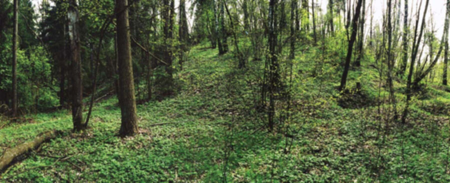 Iliustracija