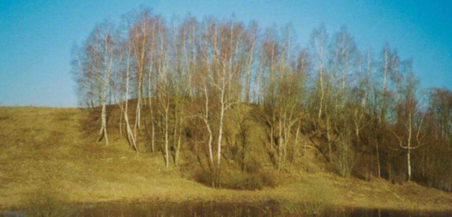 Iliustracija