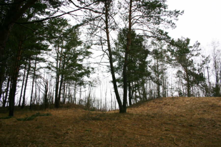 Iliustracija
