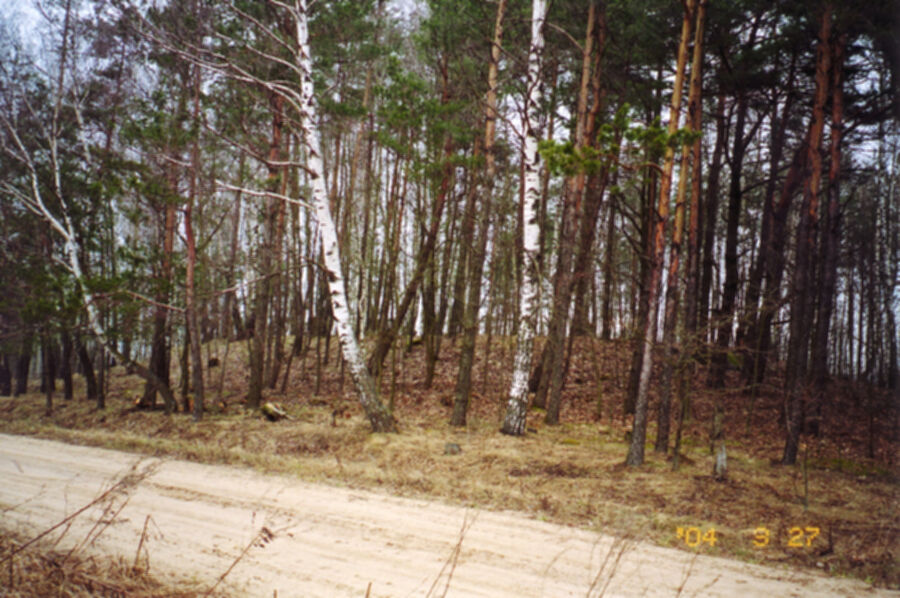 Iliustracija