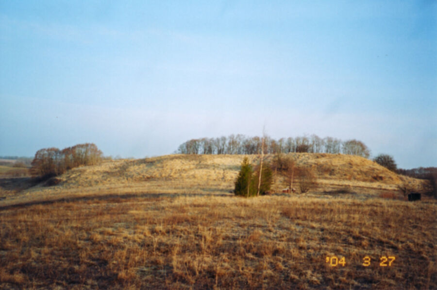 Iliustracija