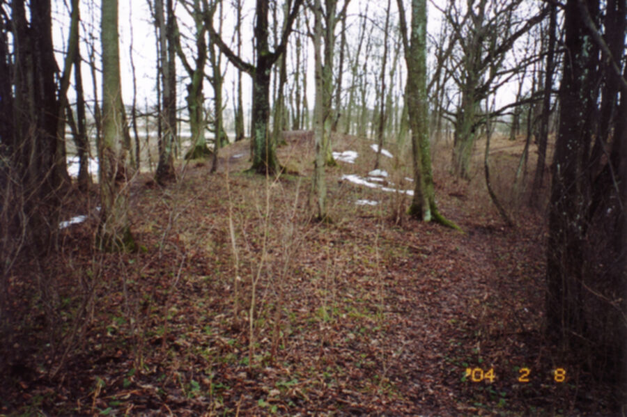 Iliustracija