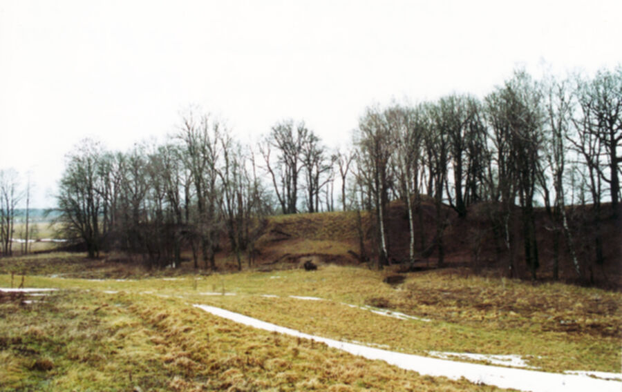 Iliustracija