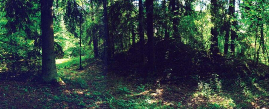 Iliustracija