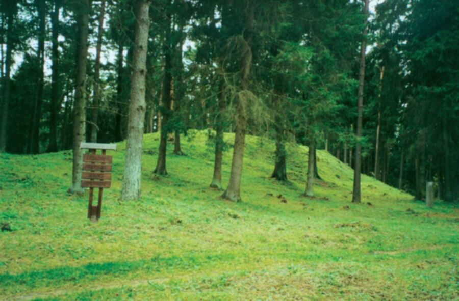 Iliustracija