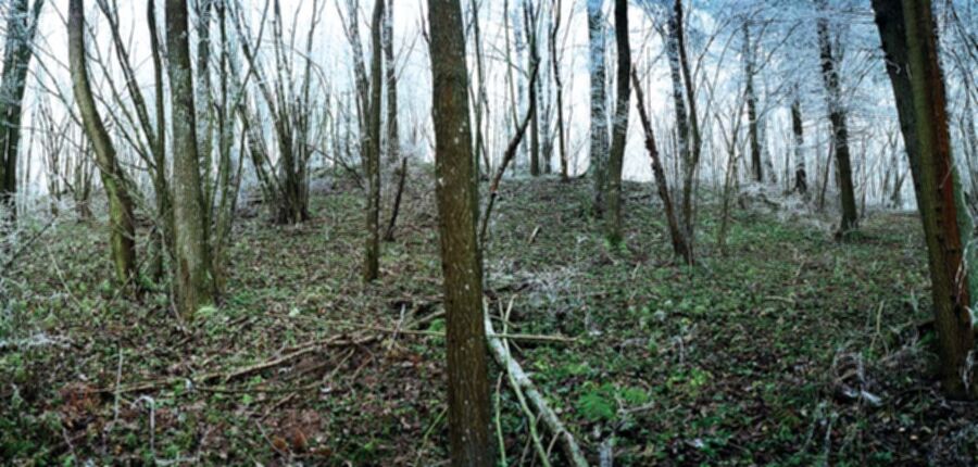 Iliustracija