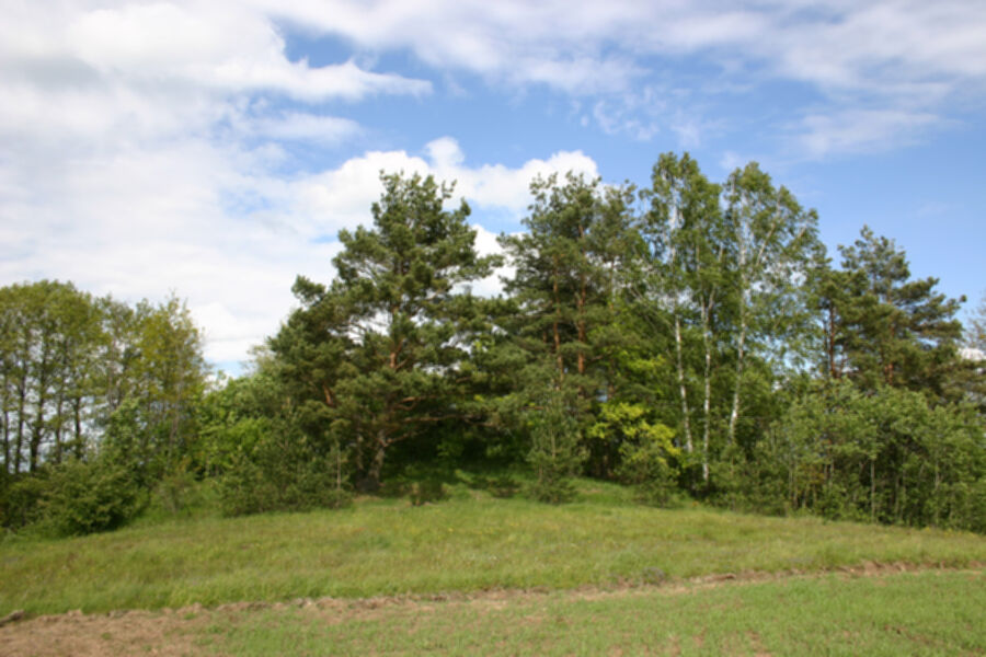 Iliustracija