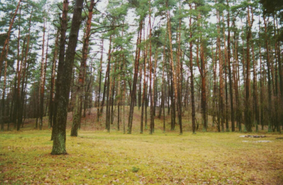 Iliustracija