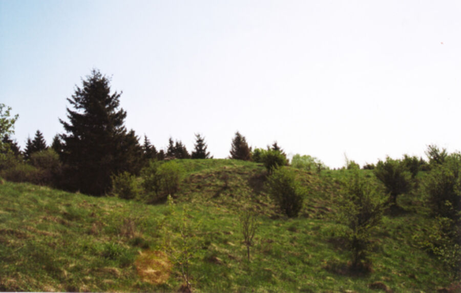 Iliustracija