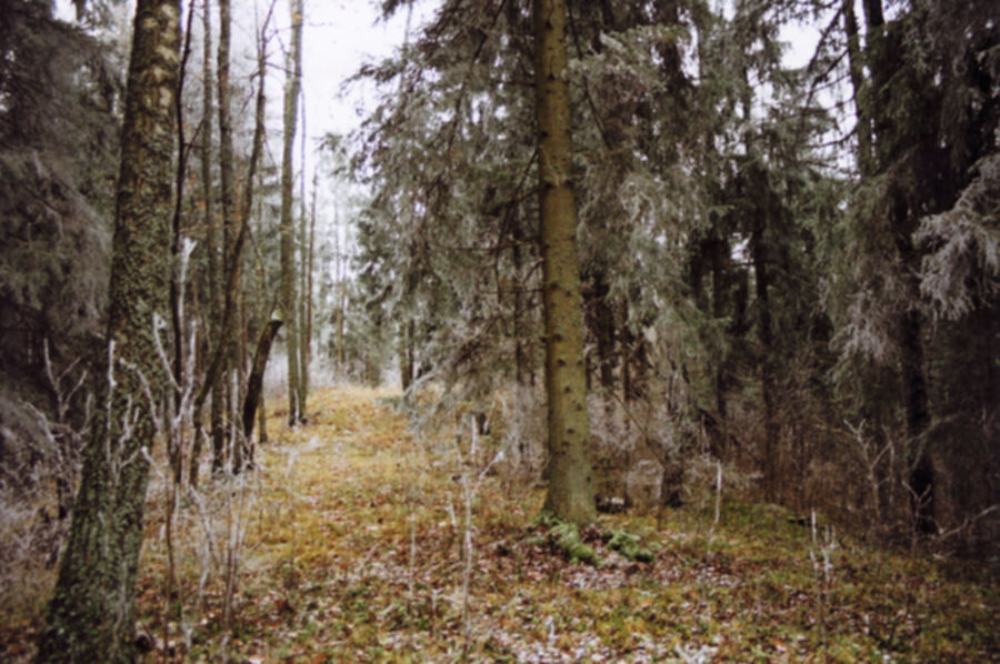 Iliustracija