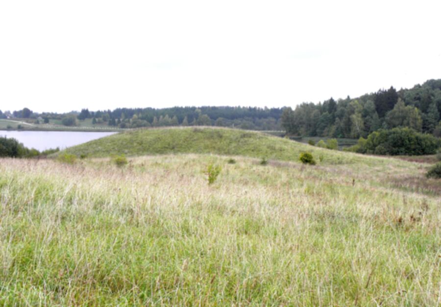 Iliustracija
