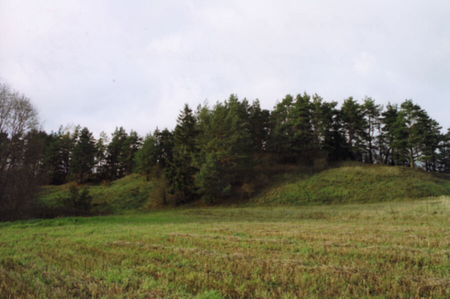 Iliustracija