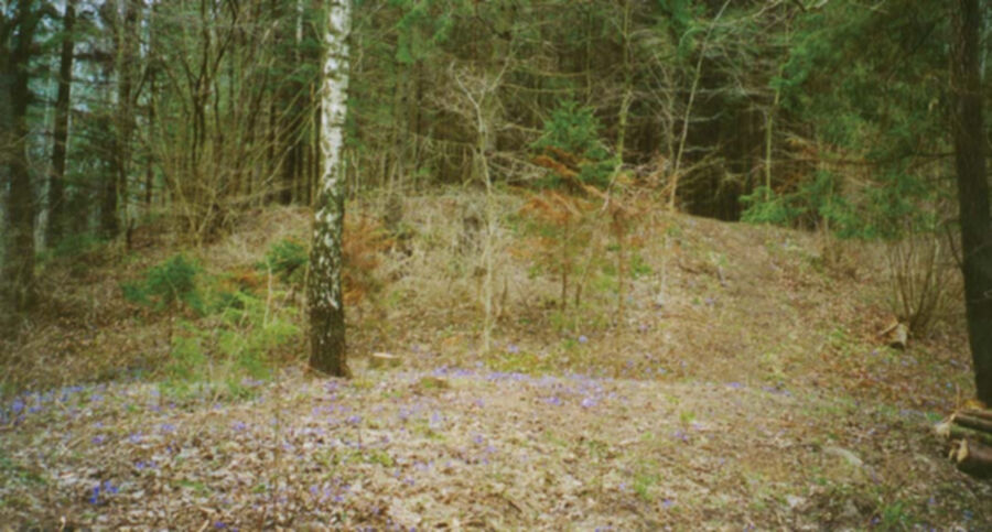 Iliustracija
