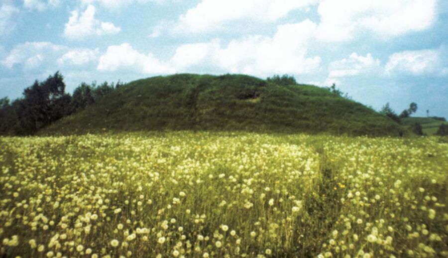 Iliustracija