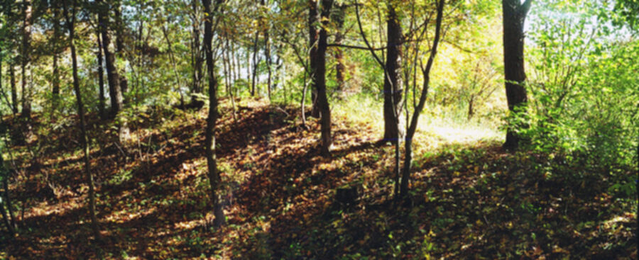 Iliustracija