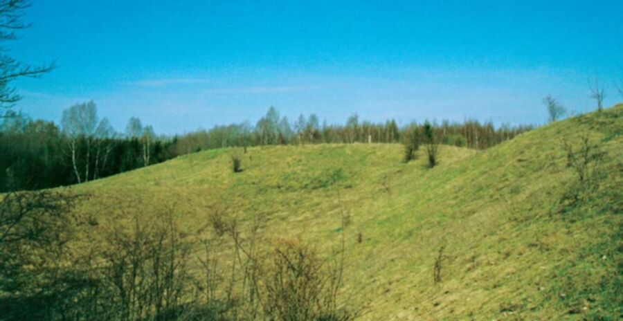 Iliustracija