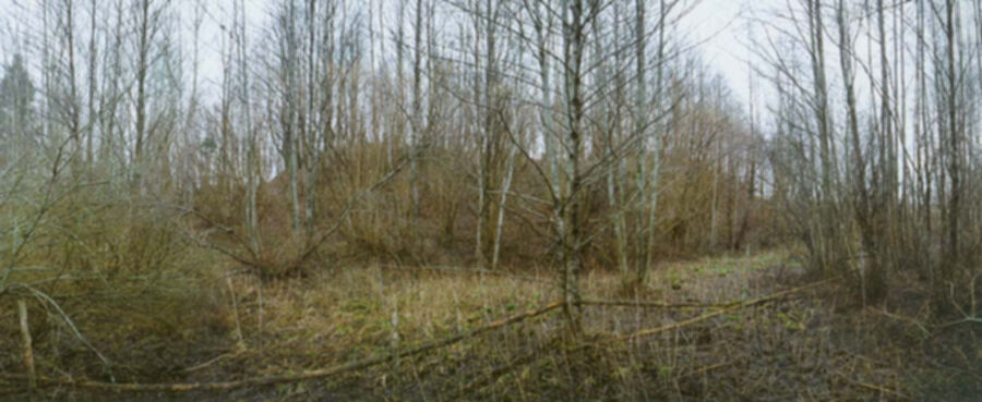 Iliustracija