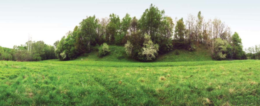 Iliustracija