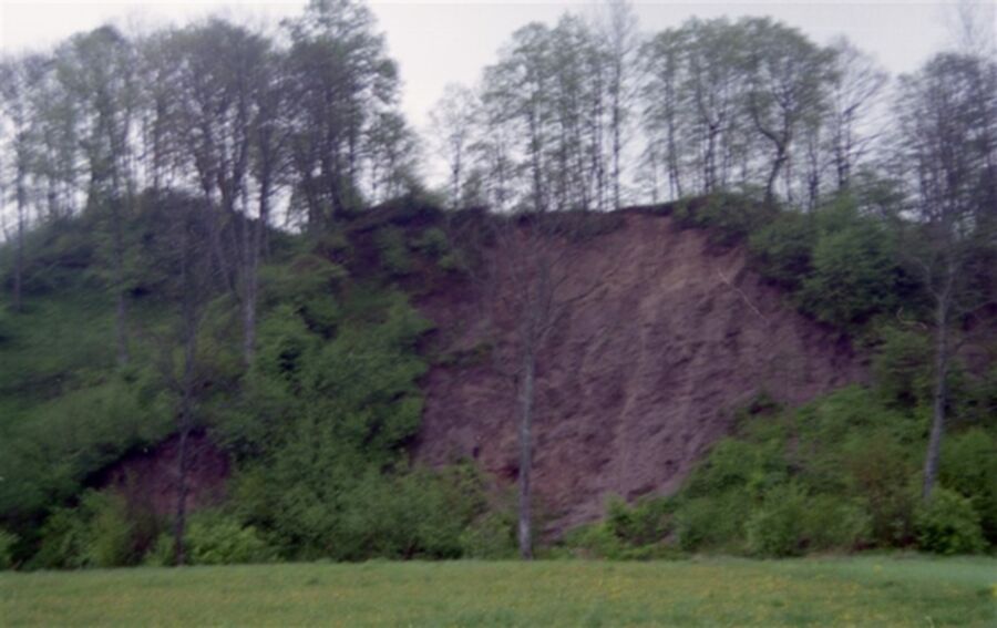 Iliustracija